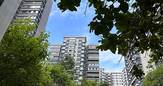 域名信息查询网站