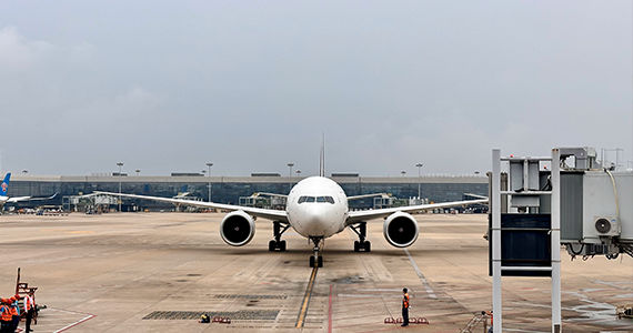 反域名查询网站