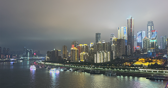 上海域名注册查询机构网站官网